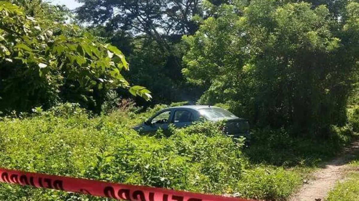 acapulco - localizan cuerpo desmembrado en la sabana